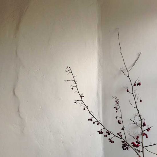Lime Plaster Wall
