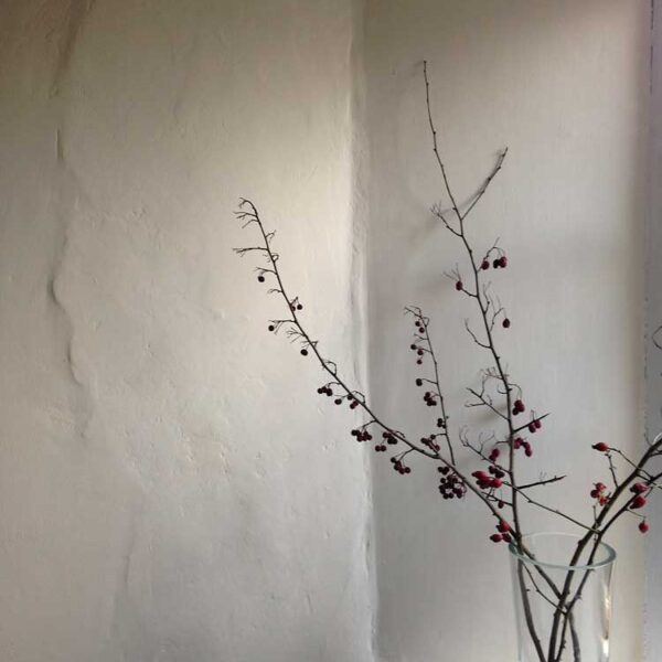 Lime Plaster Wall