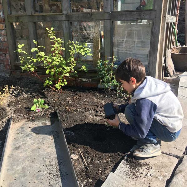 Monty planting some herbacious perennials.