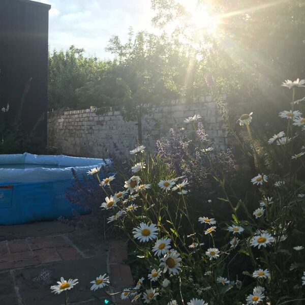 Paddling pool at the end of a hot day.