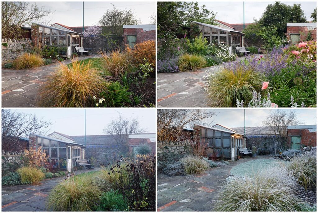 Garden in four seasons