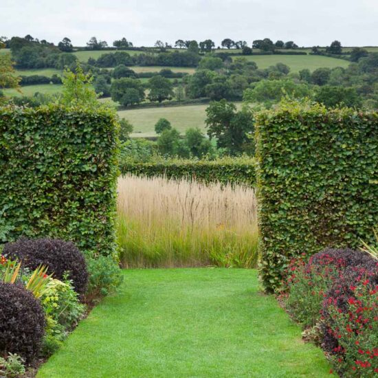 Herbacious borders by the Kitchen Garden leading to the Grass Border.